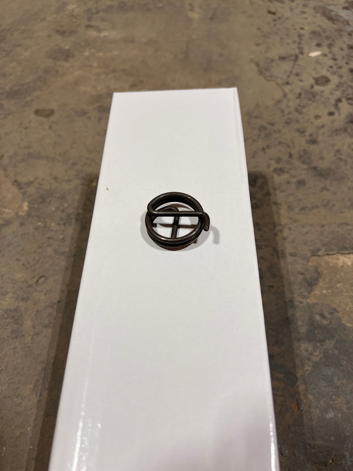 Replacement Electronic Exhaust Valve Spring
