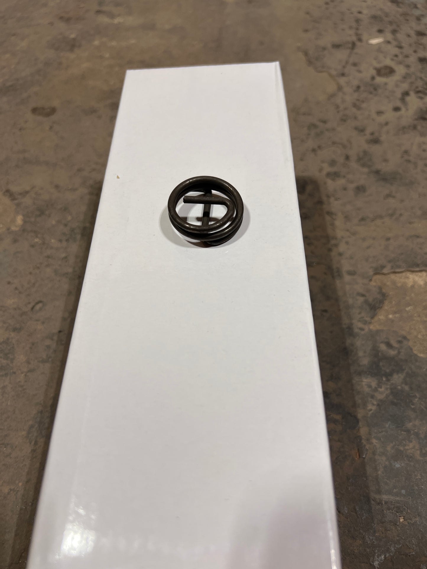 Replacement Electronic Exhaust Valve Spring