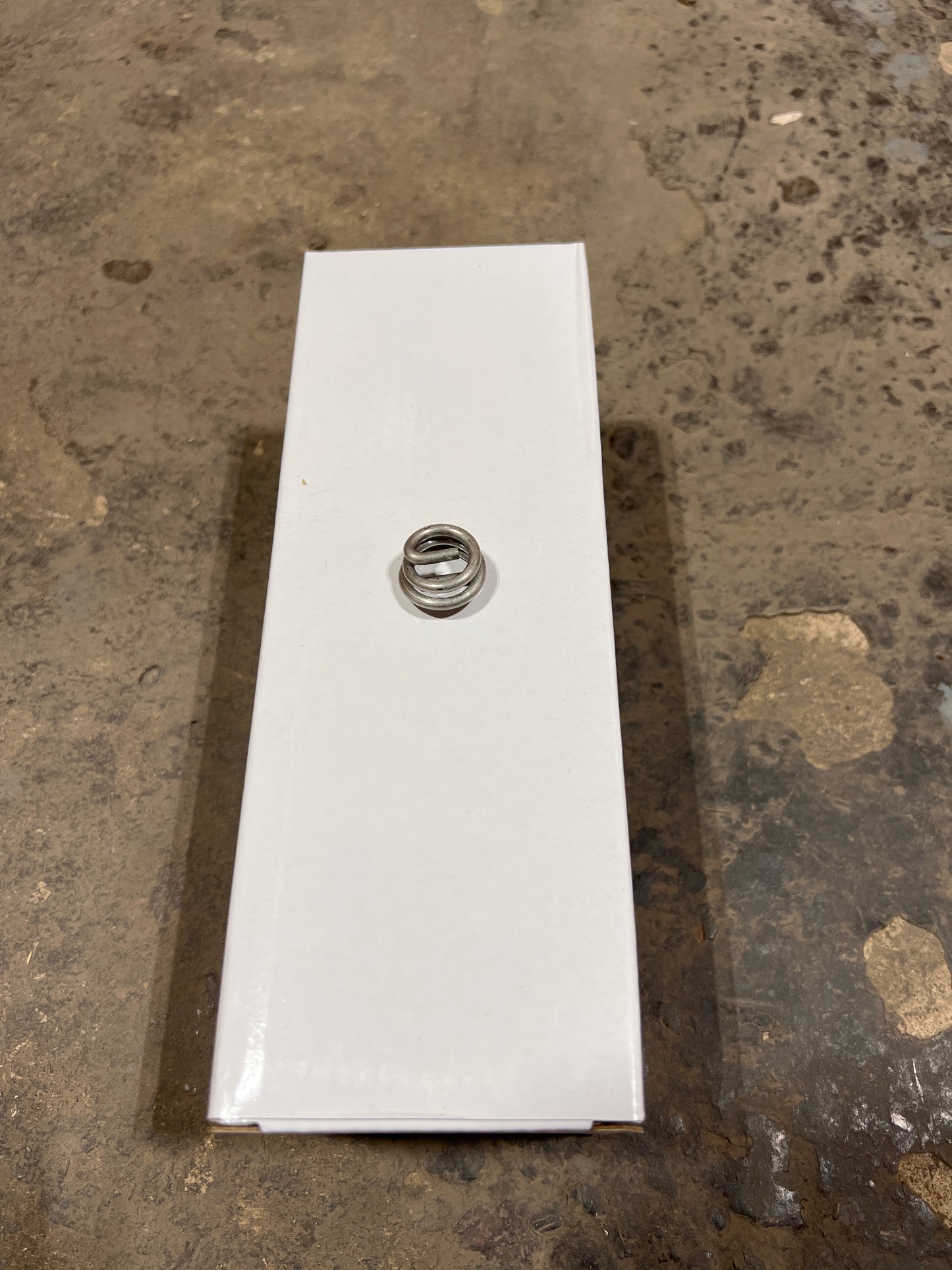 Replacement Electronic Exhaust Valve Spring