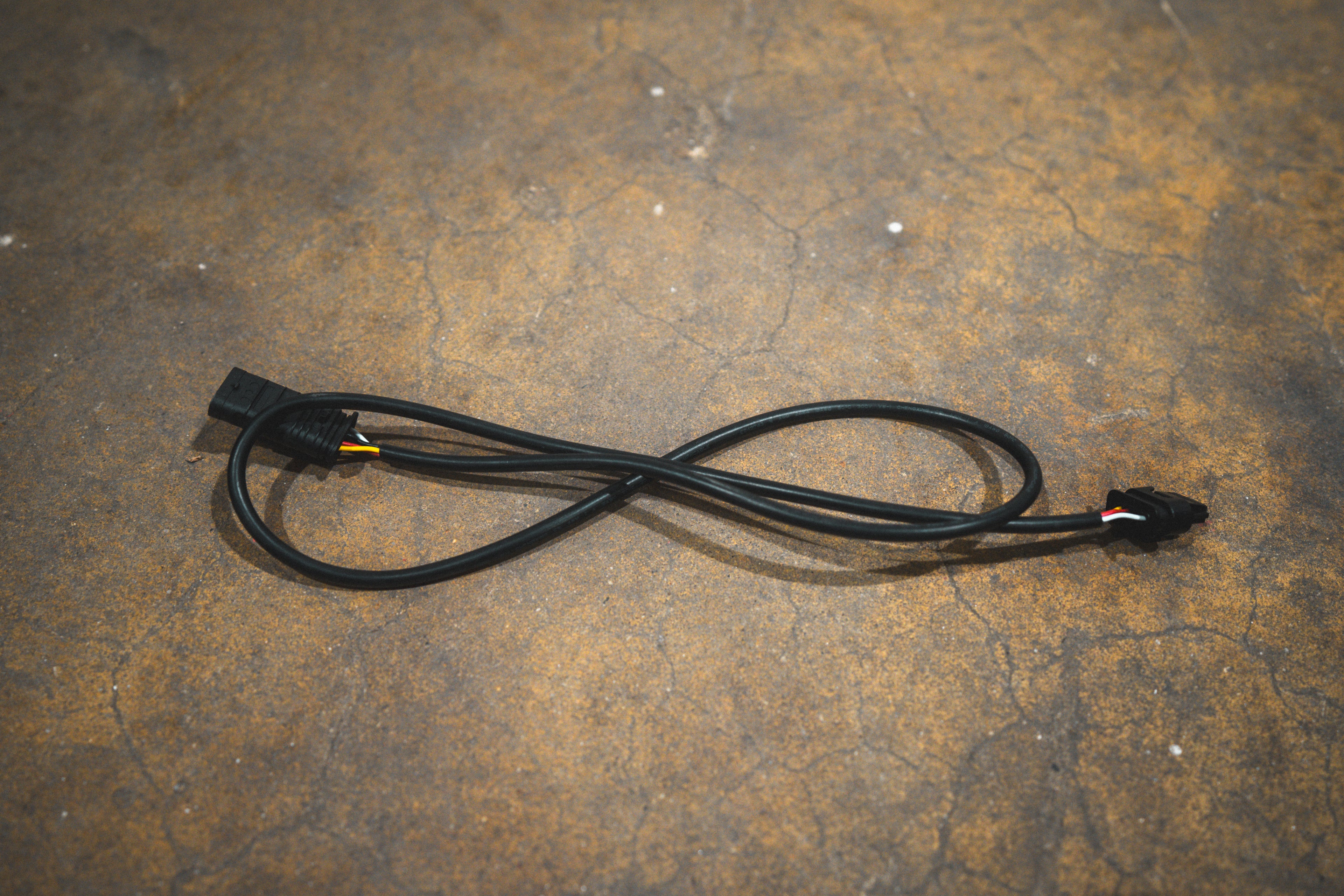 Extension Harness 